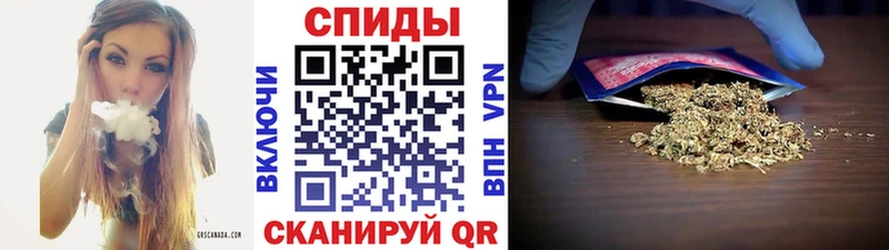 Купить  Малая Вишера  БУТИРАТ буратино 