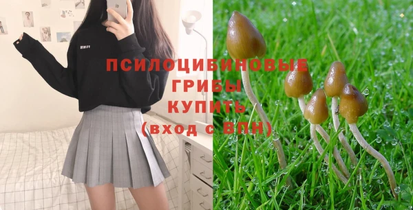 марки nbome Корсаков