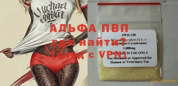 крисы Коряжма